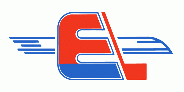 Fredericton Express 1981-1988 Primary Logo iron on heat transfer